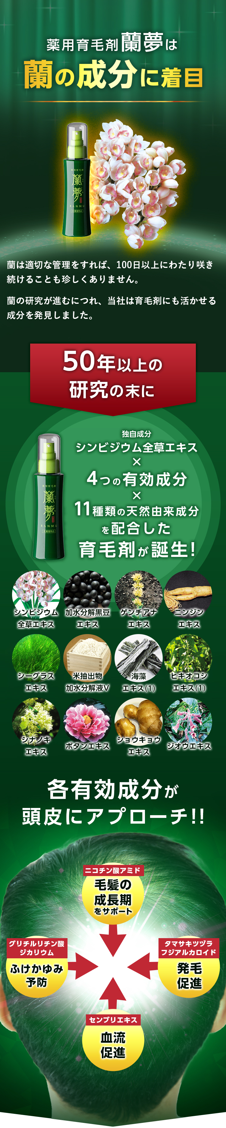 薬用育毛剤蘭夢は蘭の成分に着目