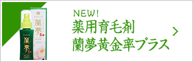 蘭夢黄金率プラス